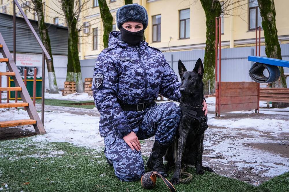 В Санкт-Петербурге служебную собаку впервые наградили медалью Росгвардии
