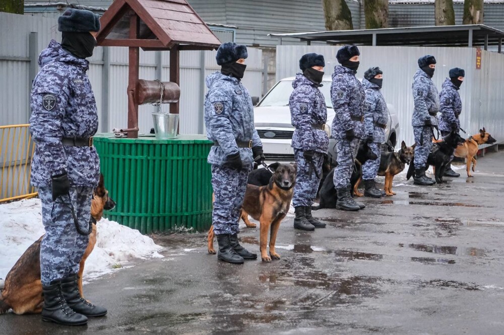В Санкт-Петербурге служебную собаку впервые наградили медалью Росгвардии