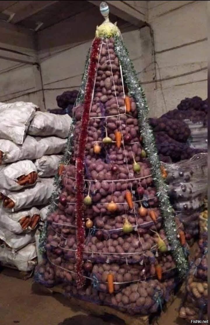Солянка