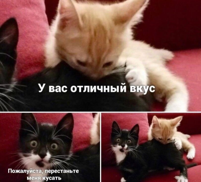 Уже почти Пятница!