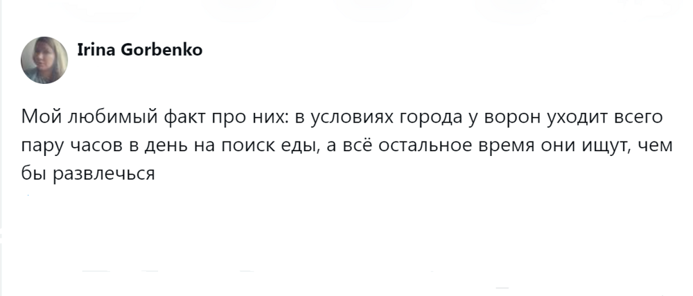 4. Делу время, а потехе ещё больше