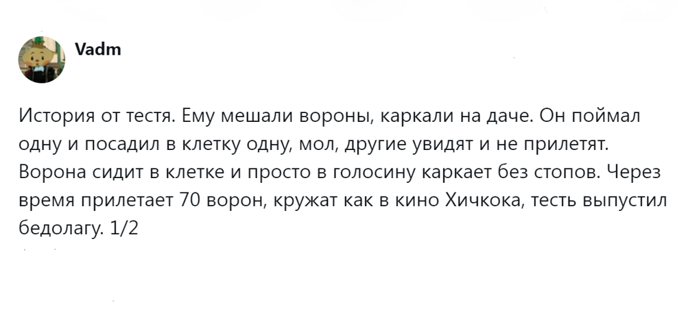 9. Хичкок явно что-то знал