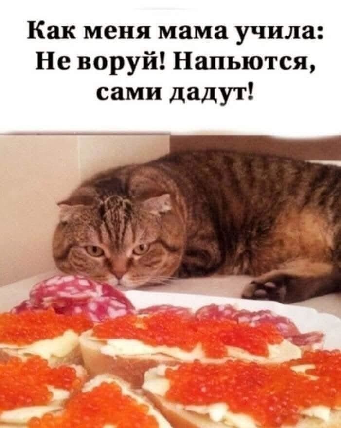 Уже почти Пятница !!!