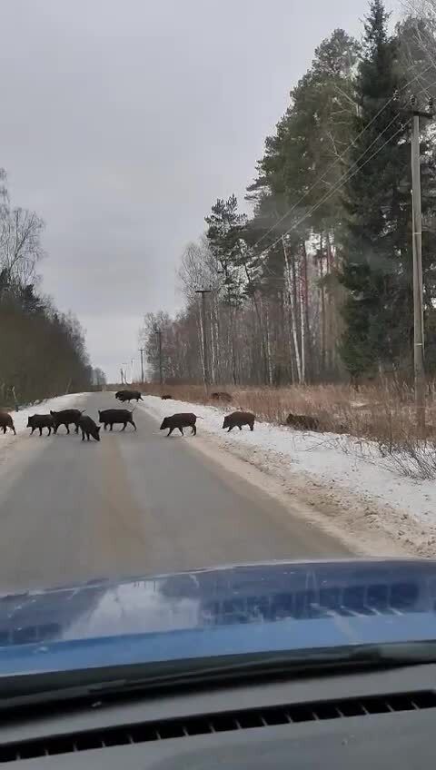 Башкирия)))