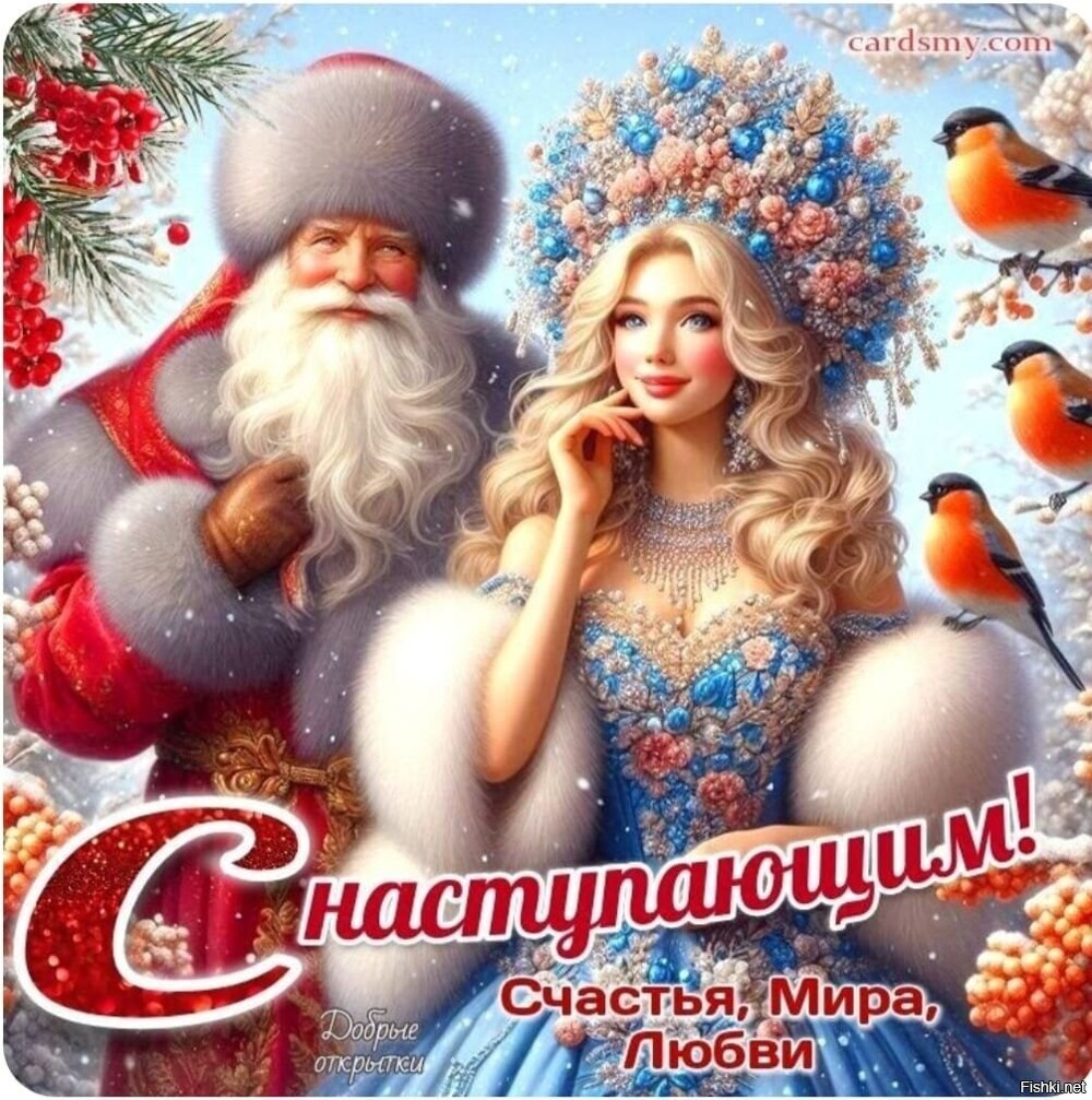 Солянка от 31.12.2024