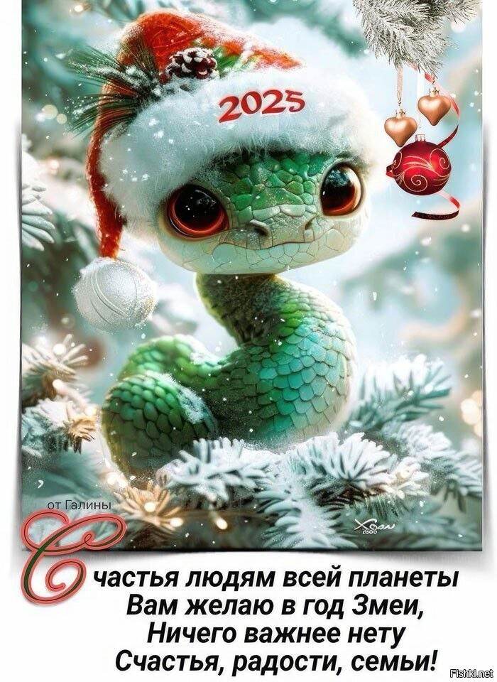 Солянка от 31.12.2024