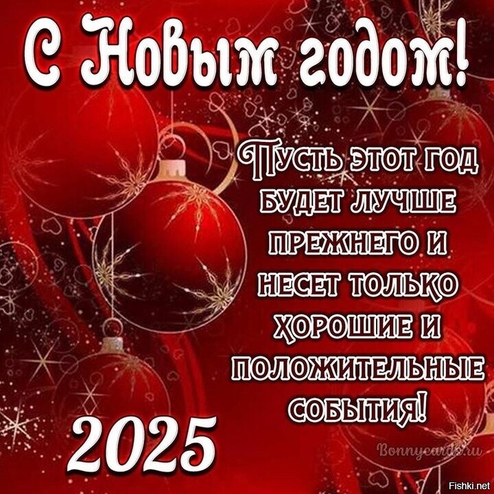 Солянка от 31.12.2024