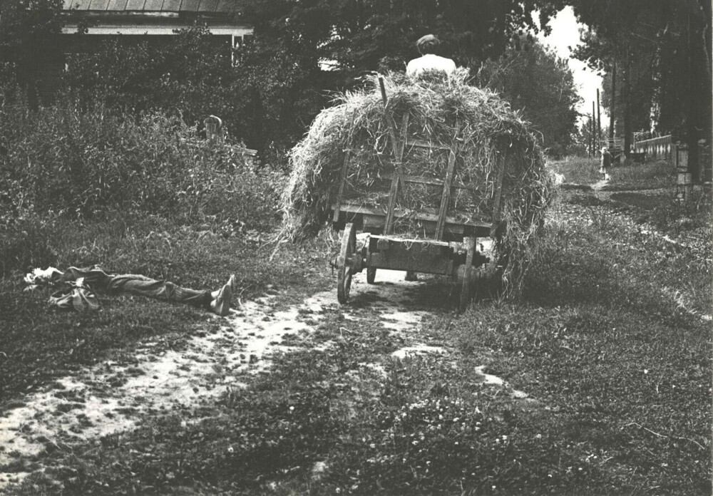 Сенокос, 1983.