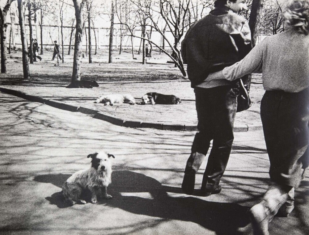 Солнечный день, 1982.