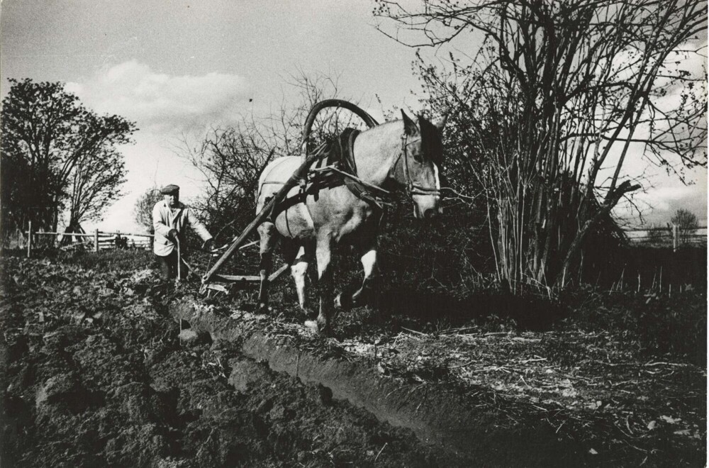 Пахарь, 1990-93.