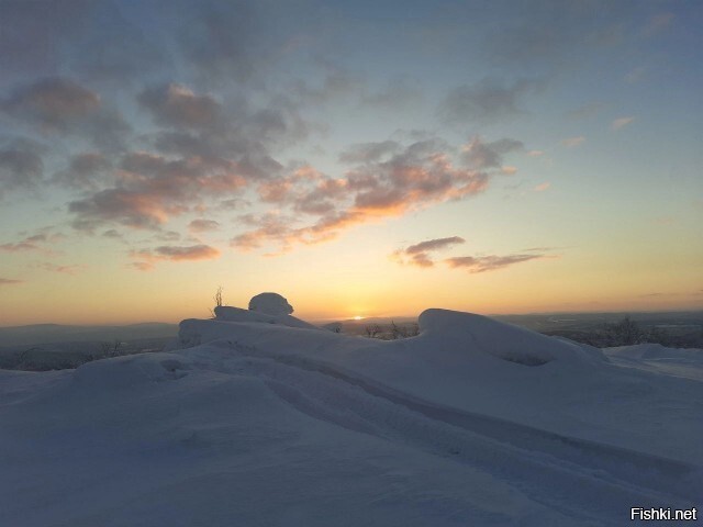 Солянка от 10.01.2025