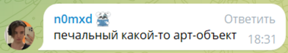 В Приморье жители устали из-за открытого люка на проезжей части и решили проблему по-своему