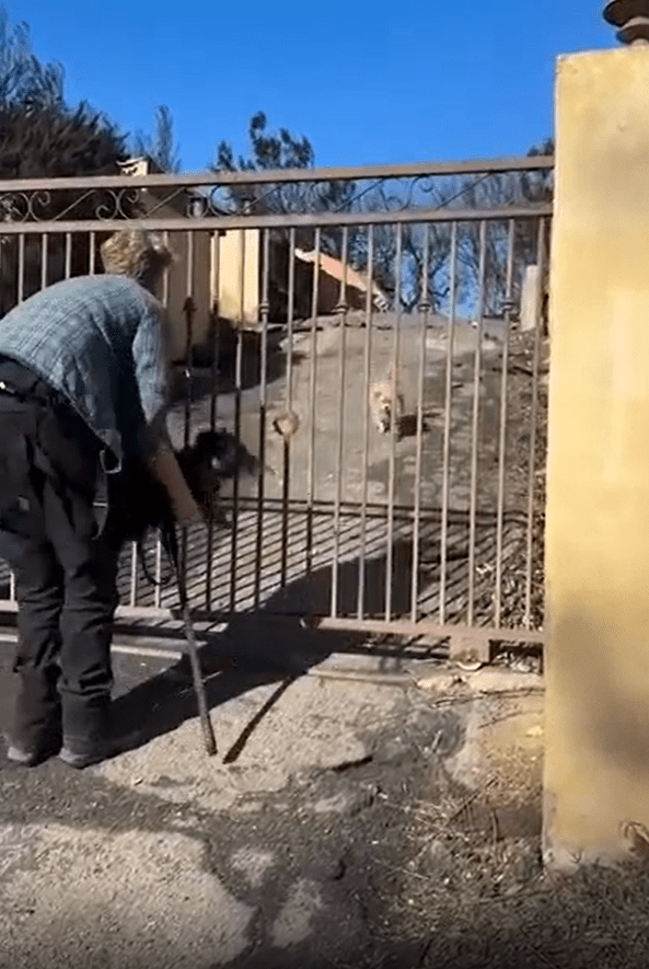 Эмоциональное воссоединение: мужчина нашёл питомца, выжившего в пожаре