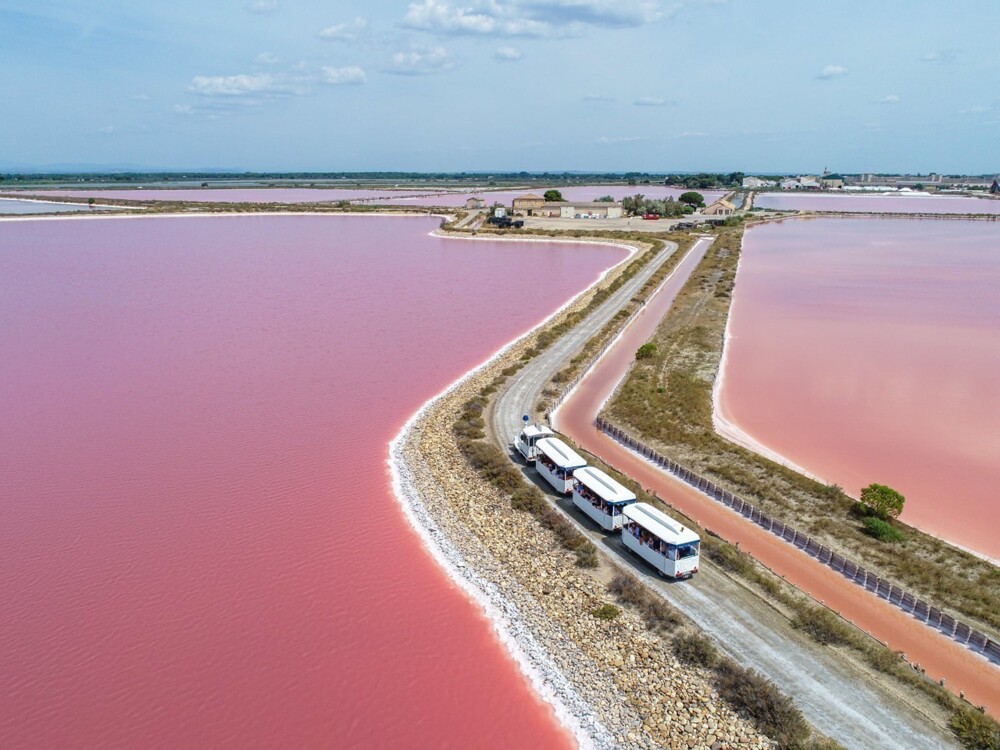 Солончак Эг-Морт – солёная обитель розовых птиц