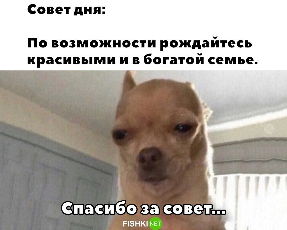 Спасибо за совет...