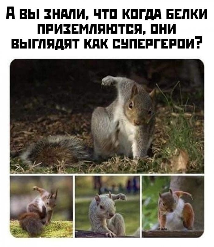 Шутки бывают разные