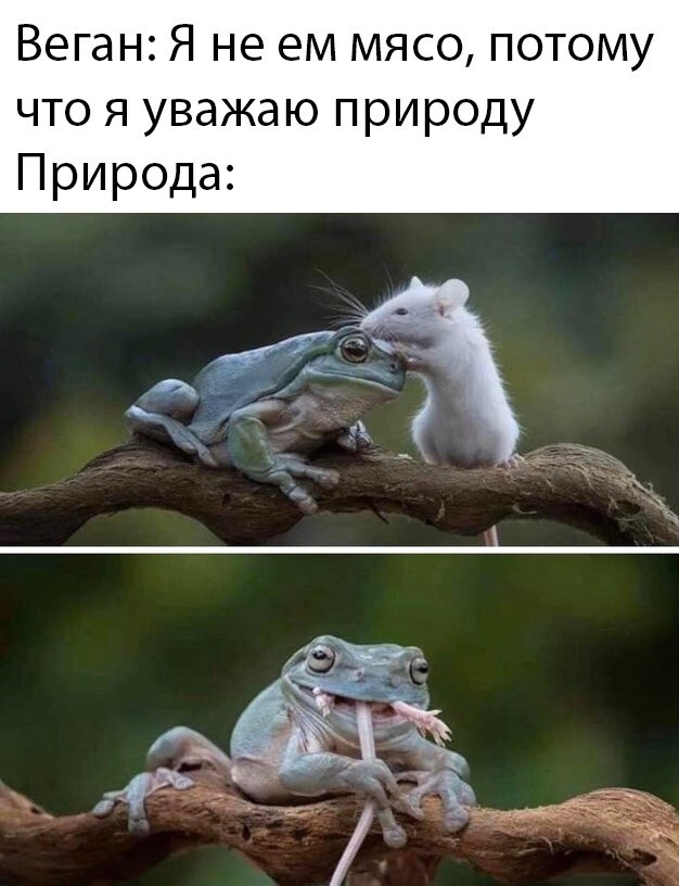 Шутки бывают разные