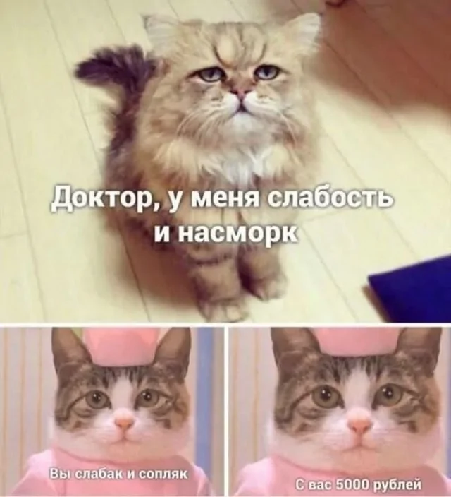 bb3e646a8e3fc96c9db9b49a9f3eafe2.jpg.webp