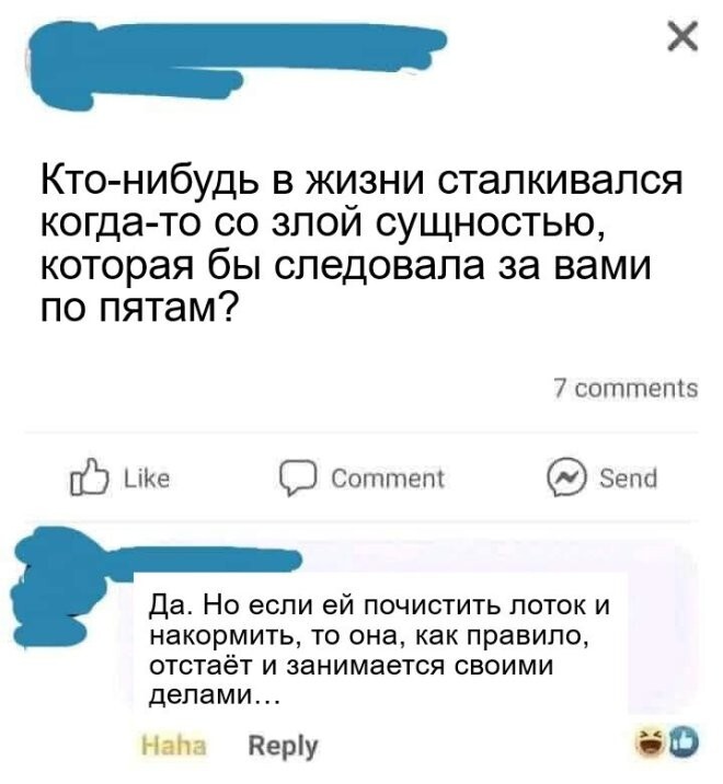 Скрины из соцсетей            