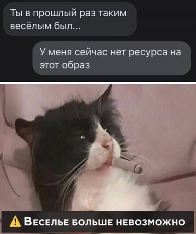 Скрины из соцсетей            