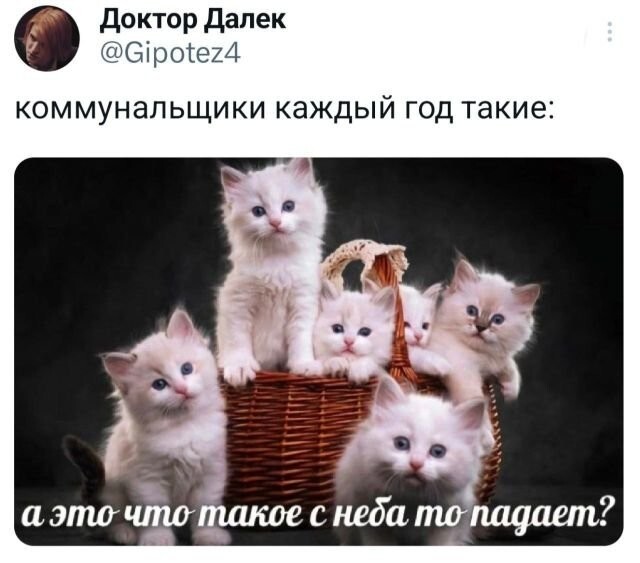 Скрины из соцсетей            