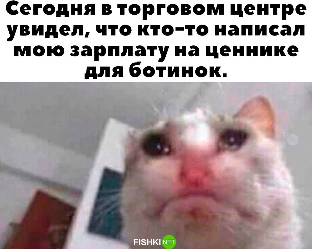 Скрины из соцсетей            