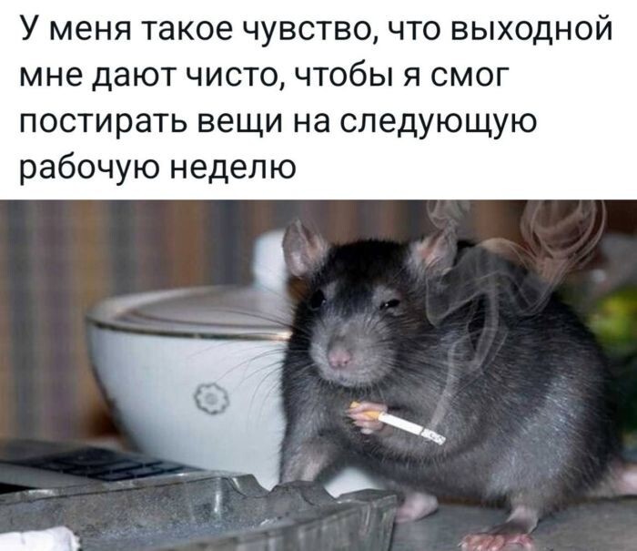Всяко- разно вечерком