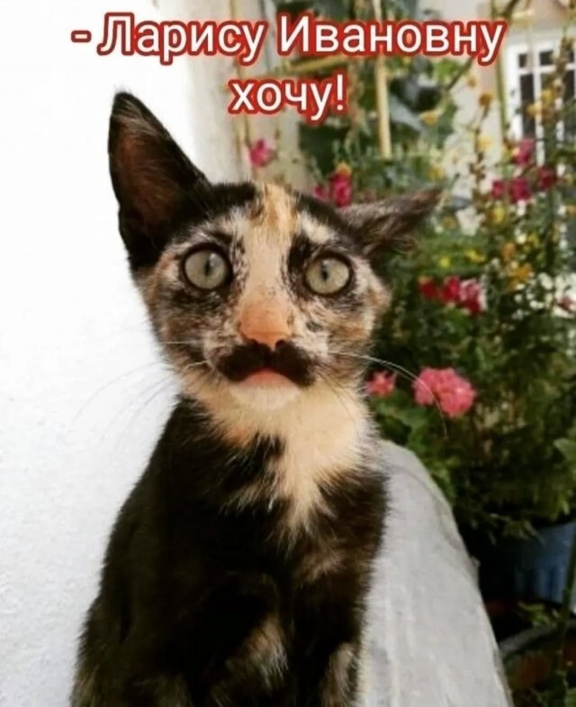 Всяко- разно вечерком