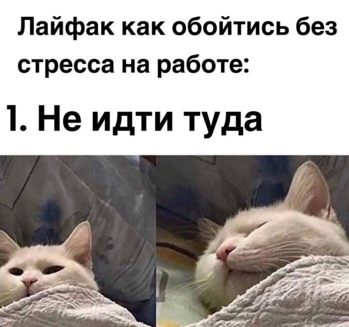 Всяко- разно вечерком