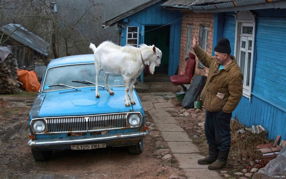 Городской приехал