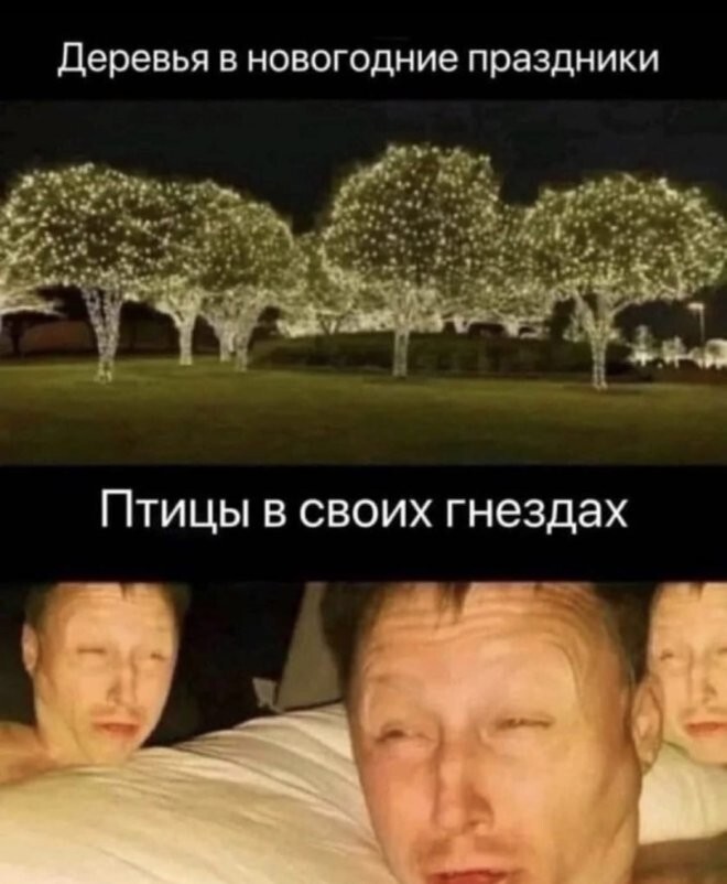 Скрины из соцсетей            