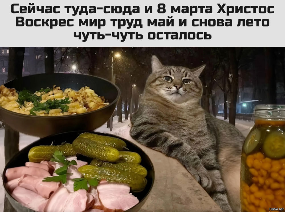 Солянка