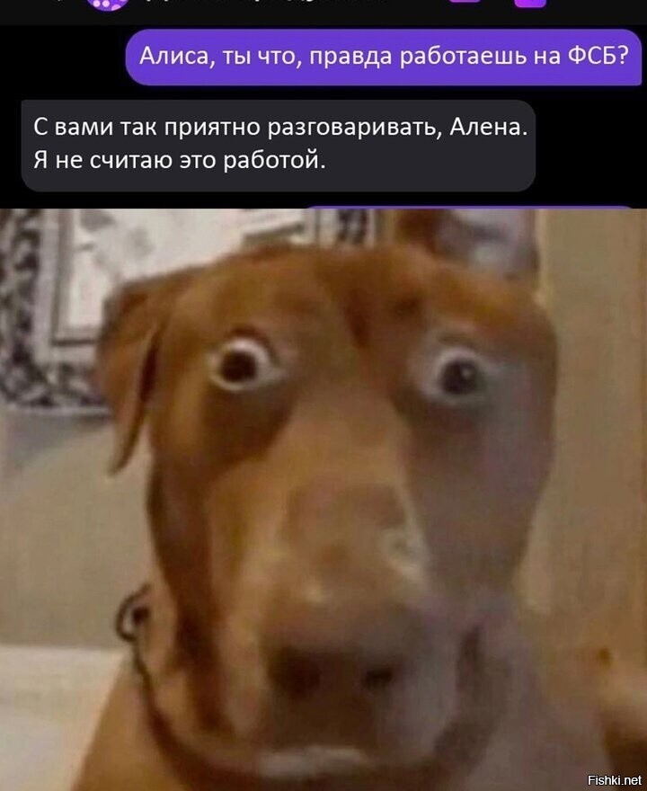 9d21febe28d00f29d4b39ee285a1772a.jpg