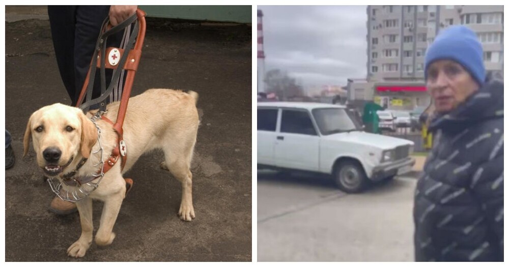 В Анапе женщина напала на слепую девушку с собакой-поводырем