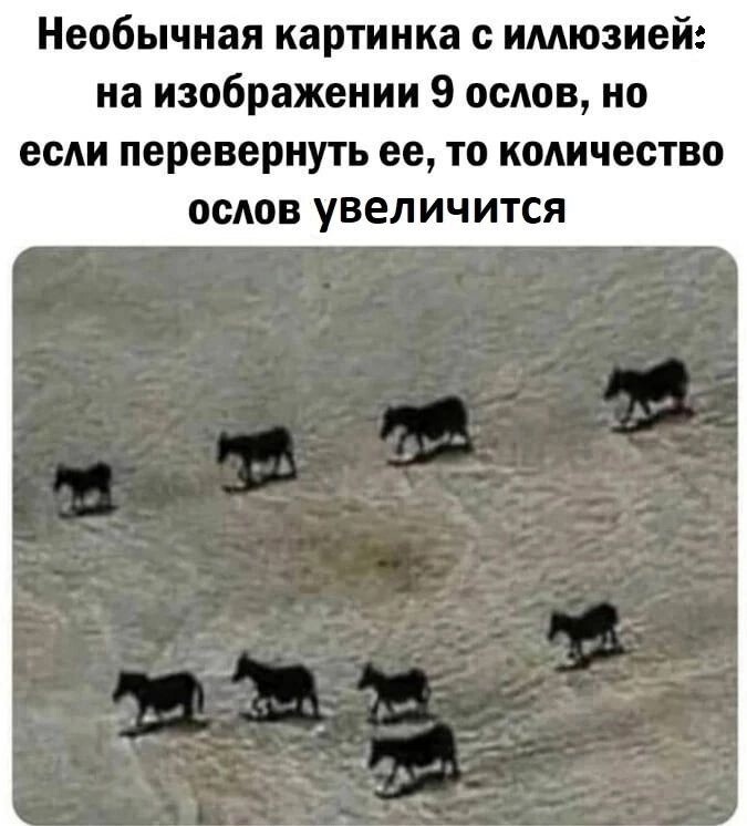 Большая порция улыбатора