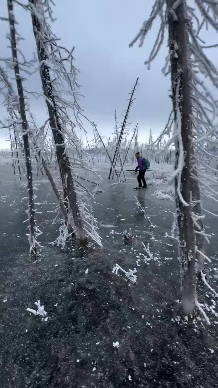 Солянка от 25.01.2025