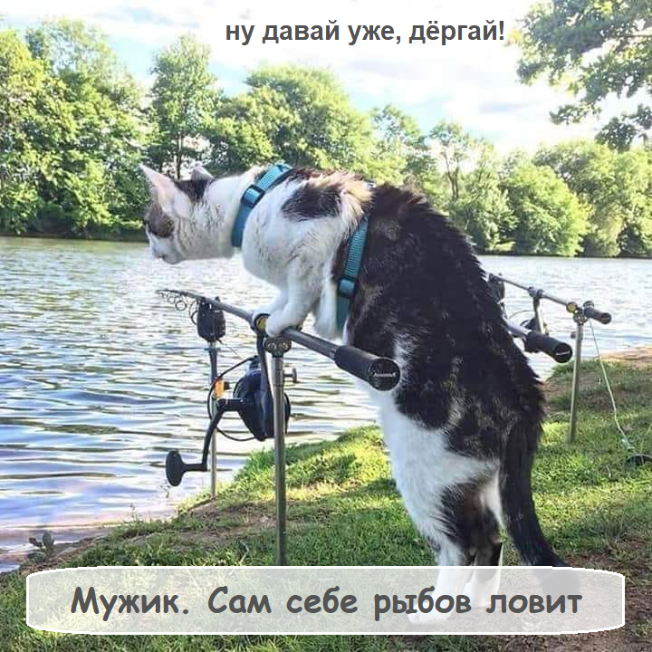 Шутки бывают разные
