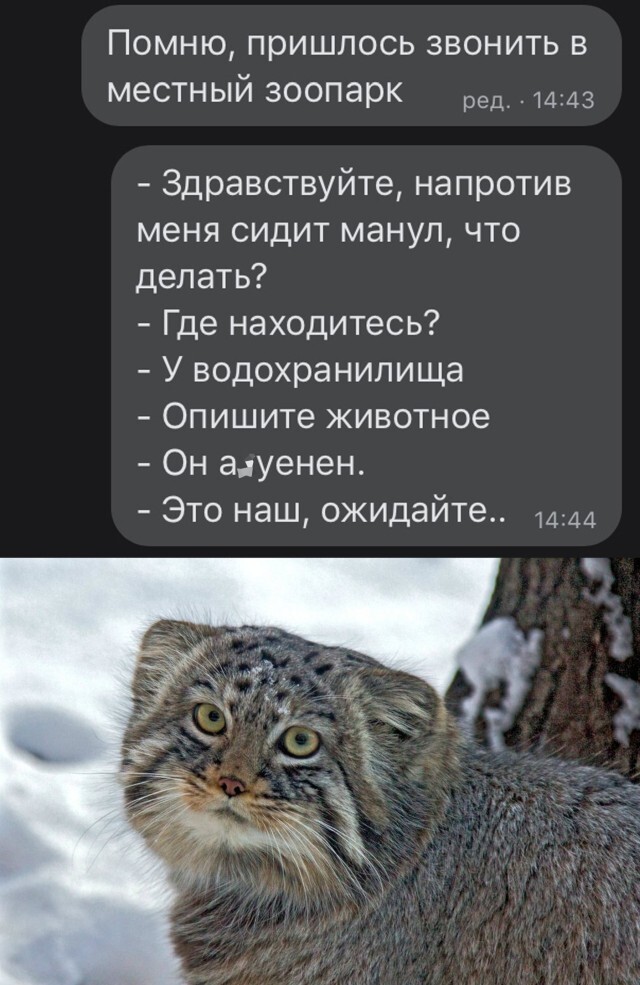 Шутки бывают разные