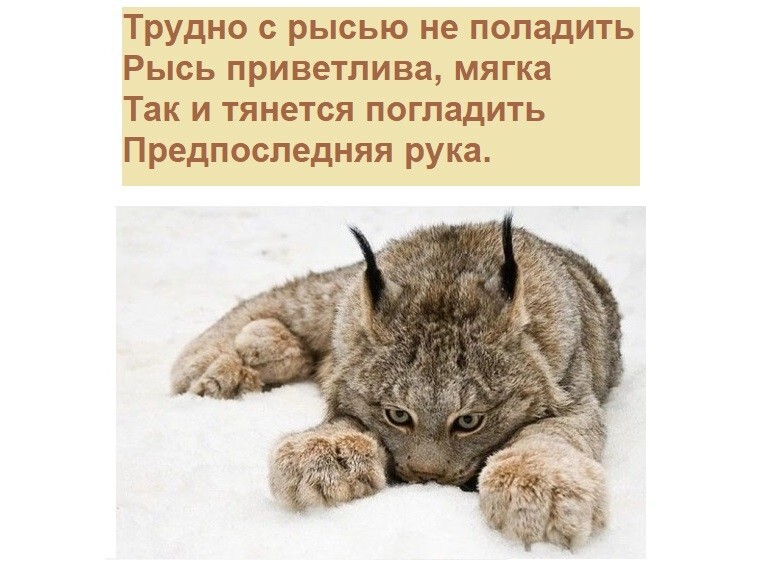 Шутки бывают разные