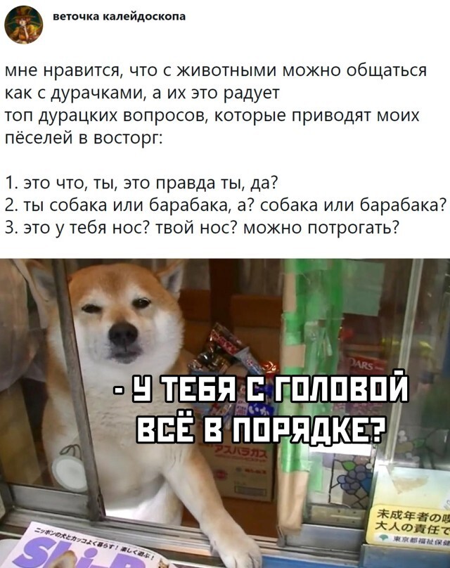 Шутки бывают разные