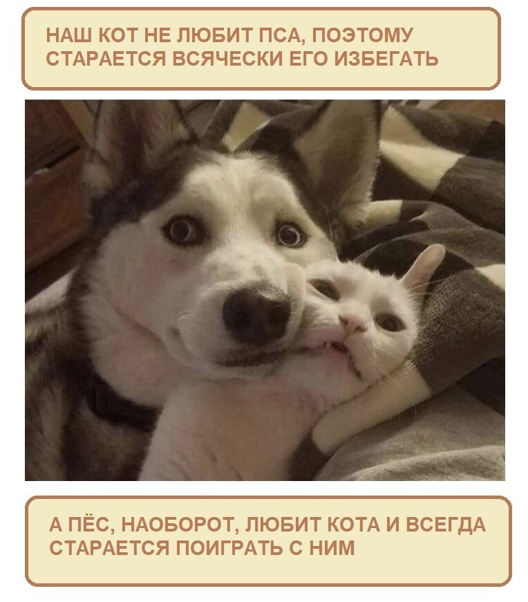 Шутки бывают разные
