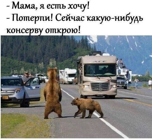 Шутки бывают разные