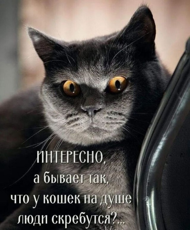 Шутки бывают разные