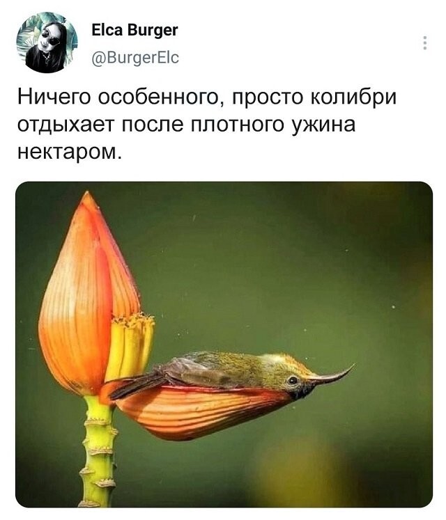 Шутки бывают разные