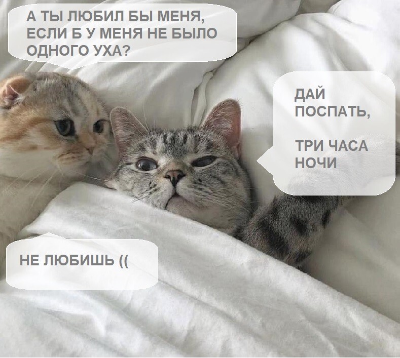 Шутки бывают разные