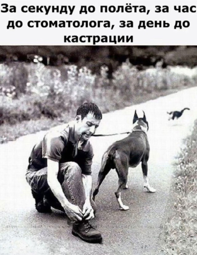 Улыбатор
