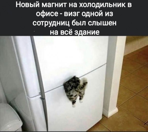 Улыбатор
