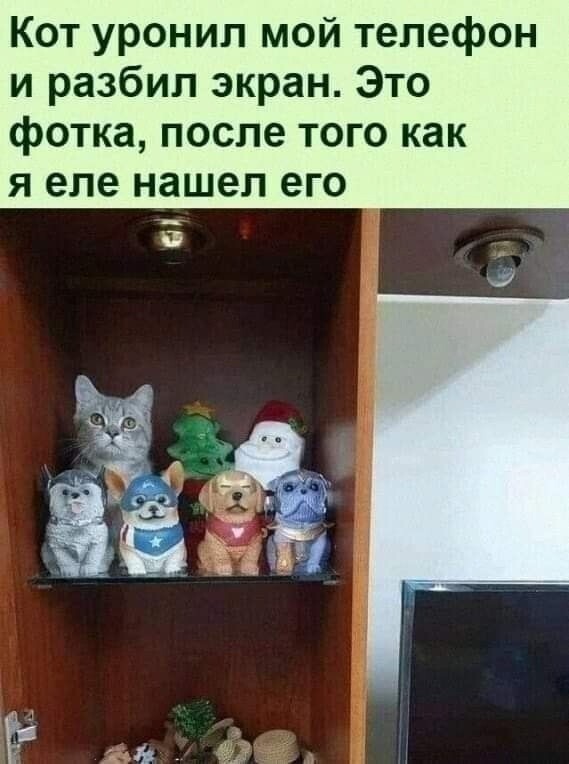 Улыбатор