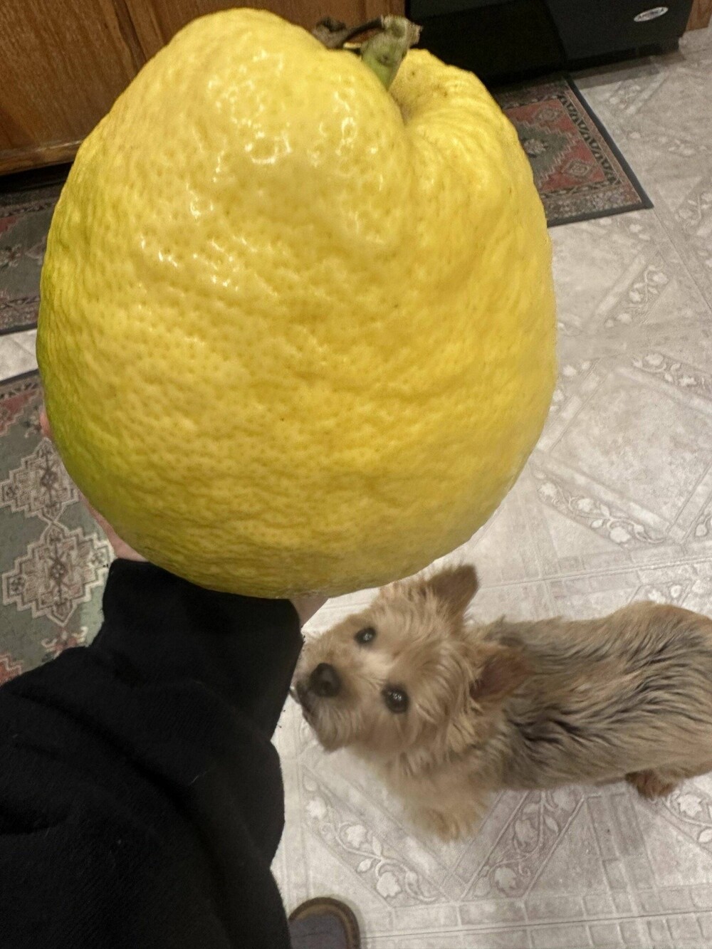 На общую тему 