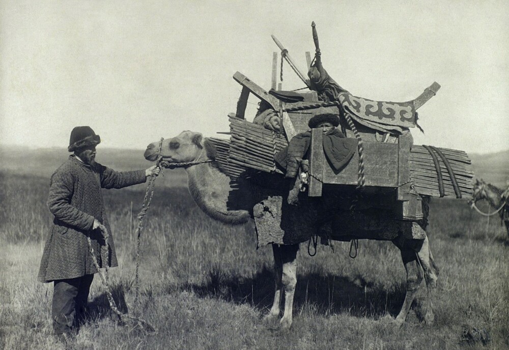 Верблюд, нагруженный домашним скарбом (кочевка). Казахи, Казахстан, Семипалатинская область, 1899. Автор С. М. Дудин